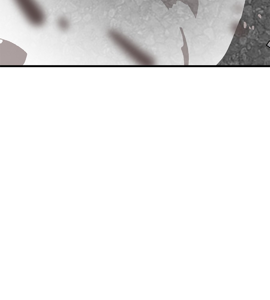 Page 217