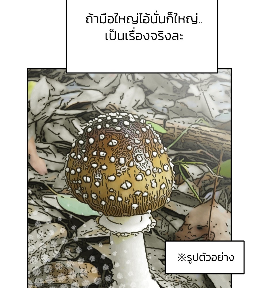 Page 231