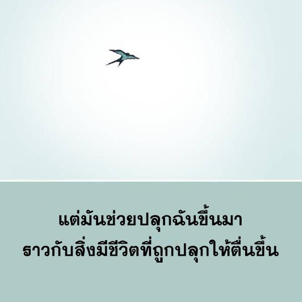 Page 251