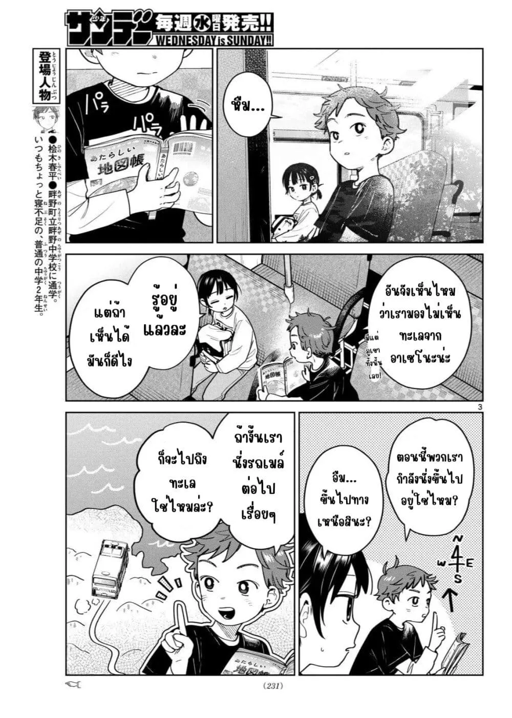 Page 3