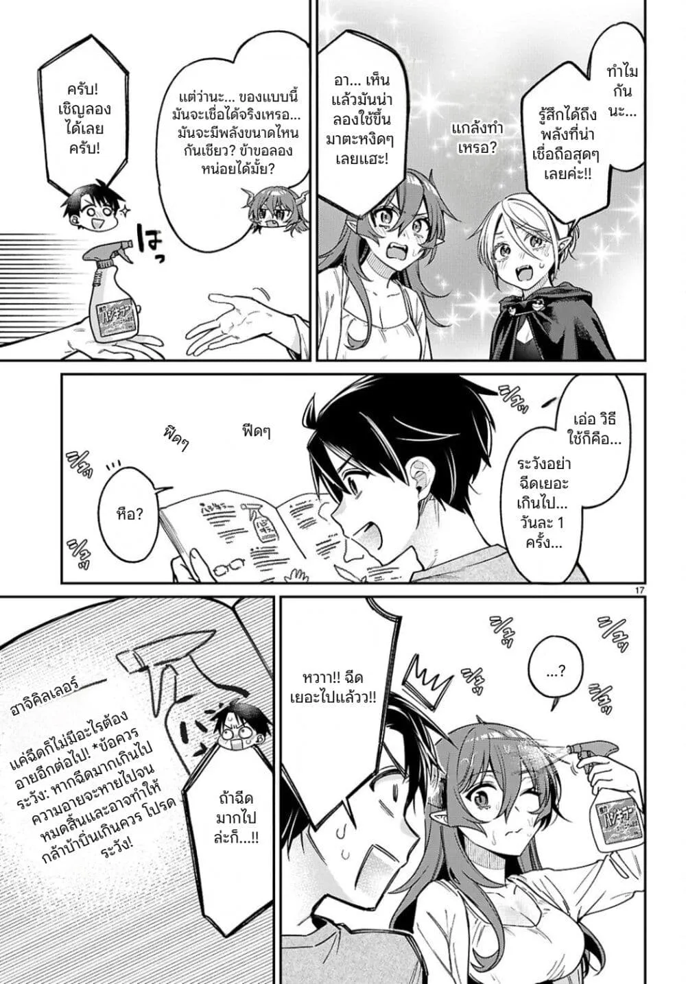 Page 17